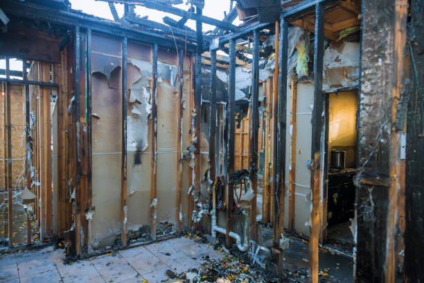 Professional Smoke Damage Removal technician working in Manchester, OH